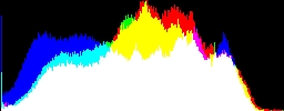 Histogram